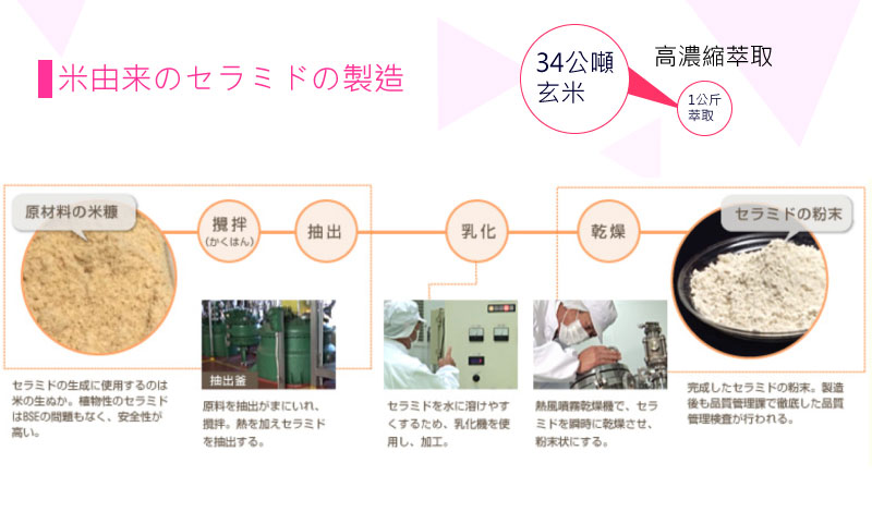 日本米胚芽萃取賽洛美製程
