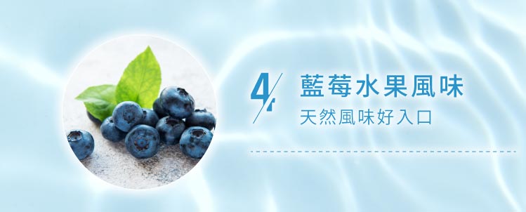 藍莓水果