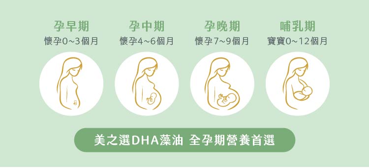 DHA藻油適合懷孕全期母乳期補充