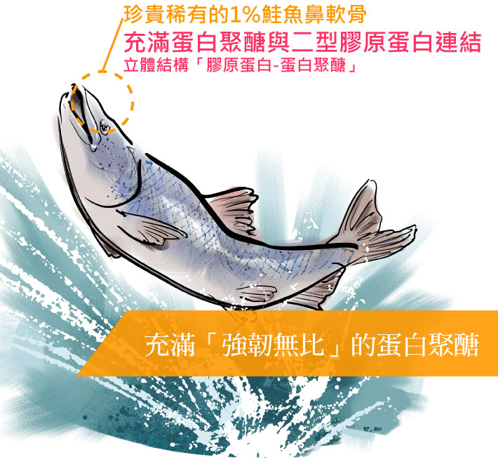 日本鮭魚鼻軟骨萃取蛋白聚醣proteoglycan